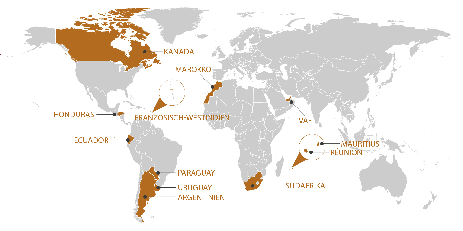 RGIS_FRANCHISE_WORLD_DE
